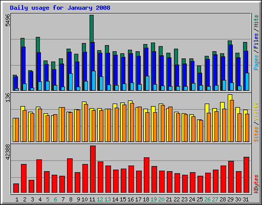 Daily usage for January 2008