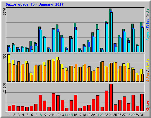 Daily usage for January 2017