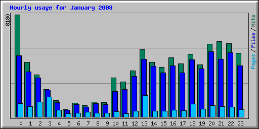 Hourly usage for January 2008