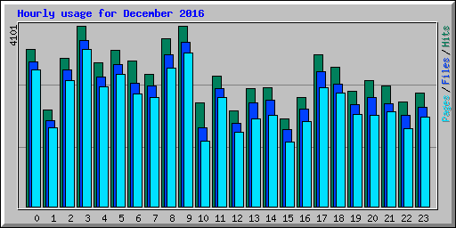 Hourly usage for December 2016