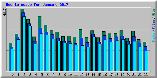 Hourly usage for January 2017