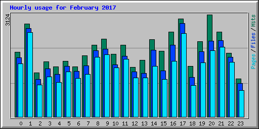 Hourly usage for February 2017