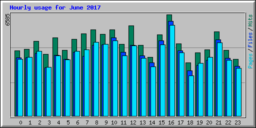 Hourly usage for June 2017
